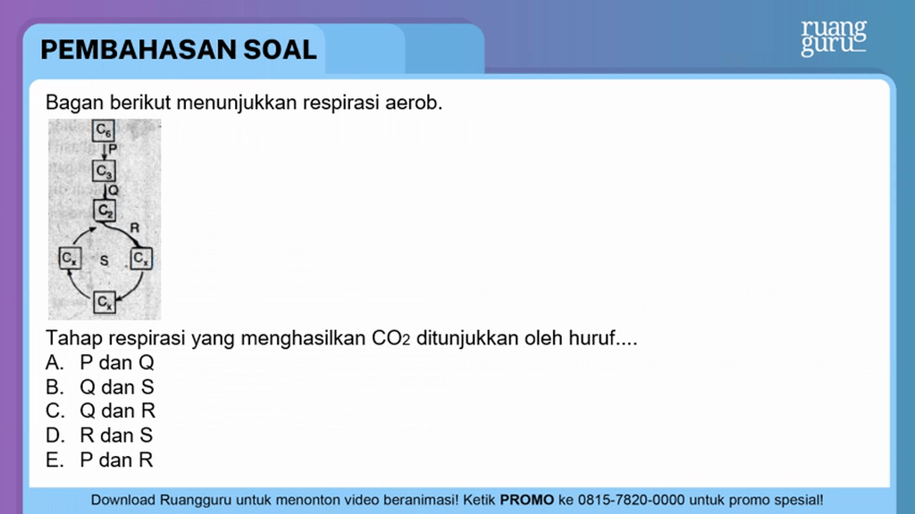 Bagan Berikut Menunjukkan Respirasi Aerob. T...