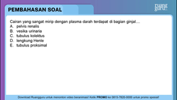 Pembahasan