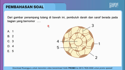 Pembahasan