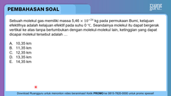Pembahasan