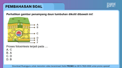 Pembahasan