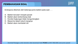 Pembahasan