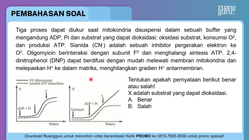 Pembahasan