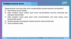 Pembahasan