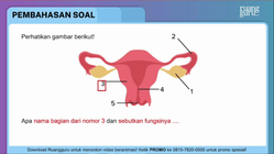 Pembahasan