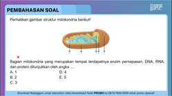 Pembahasan