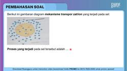 Pembahasan