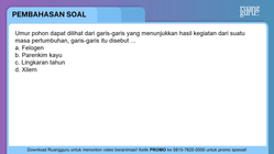 Pembahasan