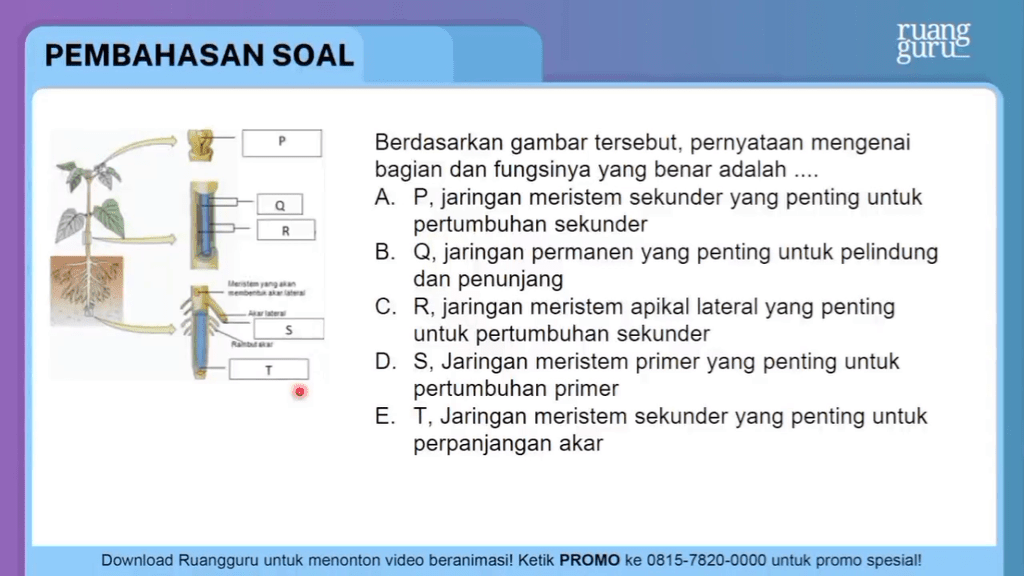 Berdasarkan Gambar Tersebut, Pernyataan Mengenai B...