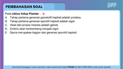 Pembahasan
