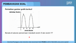 Pembahasan