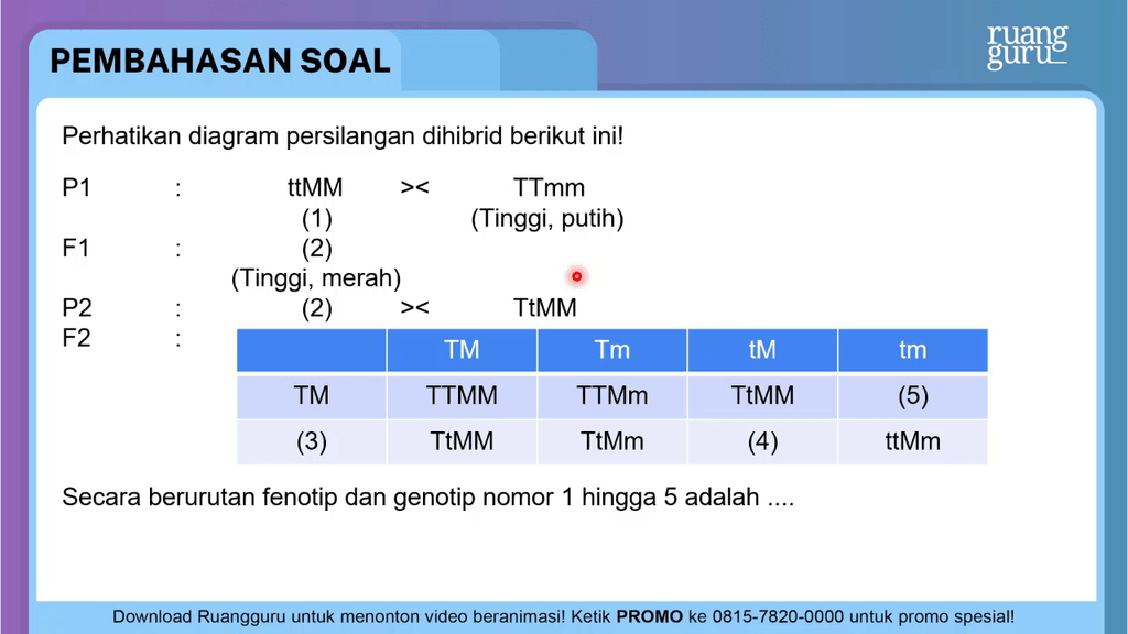 Perhatikan Diagram Persilangan Dihibrid Berikut In...