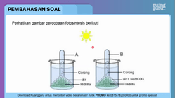 Pembahasan