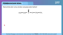 Pembahasan