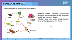 Pembahasan