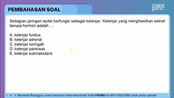 Pembahasan