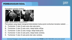 Pembahasan