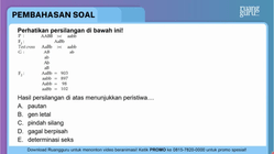 Pembahasan