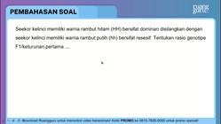 Pembahasan