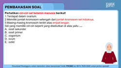 Pembahasan