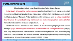 Pembahasan