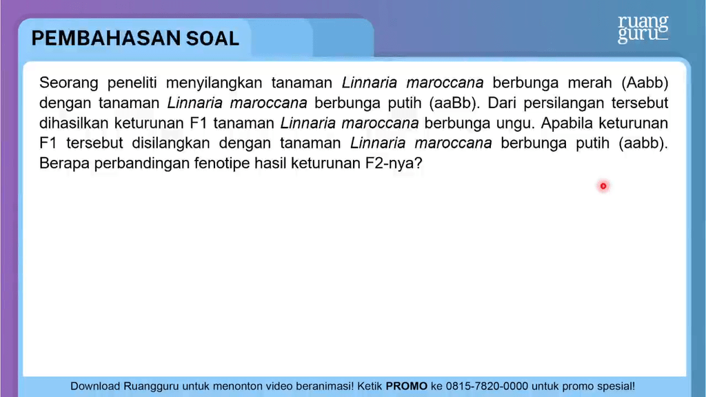 Seorang Peneliti Menyilangkan Tanaman Linnaria Mar...