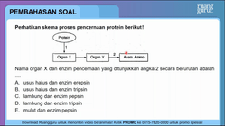 Pembahasan