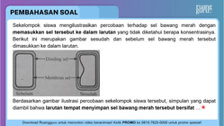 Pembahasan