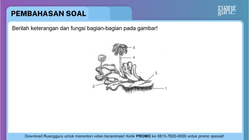 Pembahasan