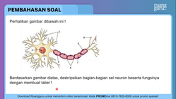 Pembahasan