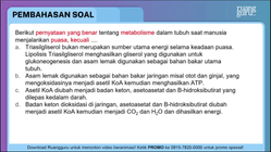 Pembahasan