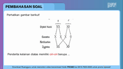 Pembahasan