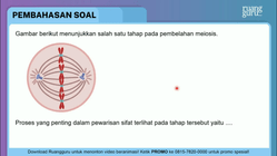 Pembahasan