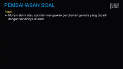 Pembahasan