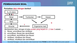 Pembahasan