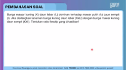 Pembahasan