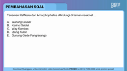 Pembahasan