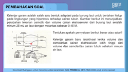 Pembahasan