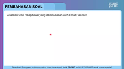 Pembahasan