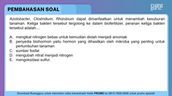 Pembahasan