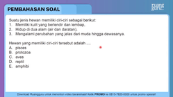 Pembahasan