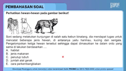 Pembahasan