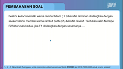 Pembahasan