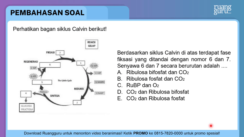 Perhatikan Bagan Siklus Calvin Berikut! Berd...