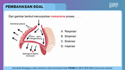 Pembahasan