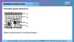 Pembahasan