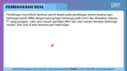 Pembahasan