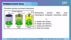 Pembahasan