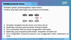 Pembahasan