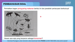Pembahasan